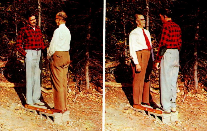 Mystery Spot - Vintage Postcard (newer photo)